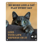 EBI D&D I LOVE HAPPY CATS kovová tabuľa: ,,Be more like a cat play every day